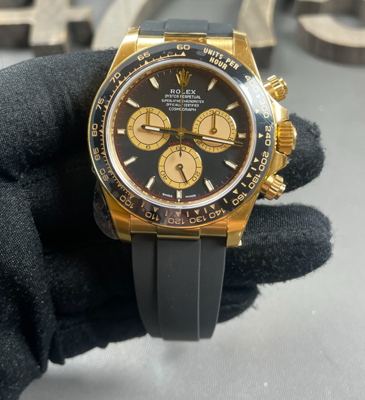 Daytona Oyster Flex Gold (Black)